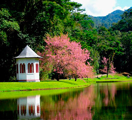 Foto da unidade de Nova Friburgo - RJ 